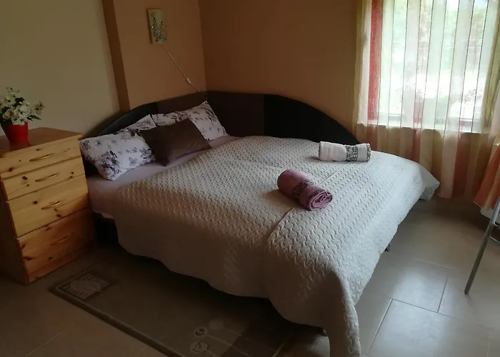 Guest house Betty 3*